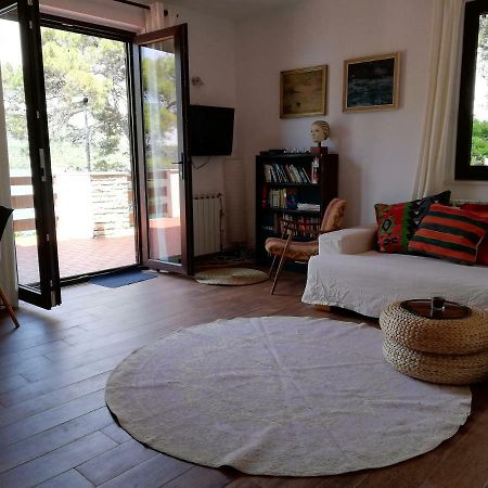 Apartments Vila Marija Grebaštica Buitenkant foto